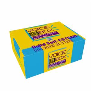 Voice Box Next-Gen Sonic AI